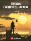 同时穿越:我们独自在万界升级
