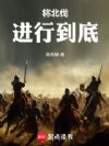 将北伐进行到底
