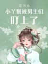 穿书后小丫鬟被男主们盯上了
